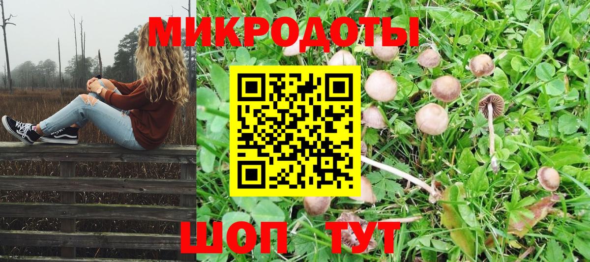 Галлюциногенные грибы GOLDEN TEACHER Нарткала